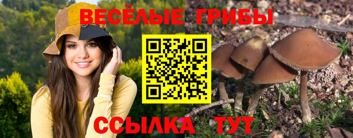Псилоцибиновые грибы мухоморы  Вход с VPN  Ярцево 